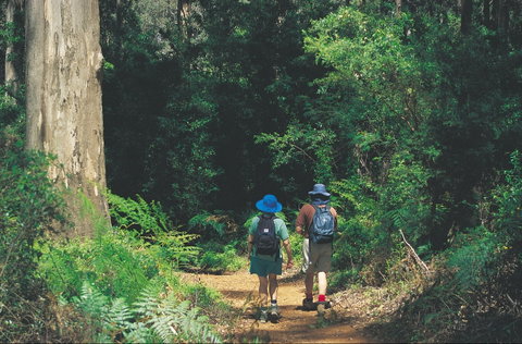 Gloucester National Park - St Kilda Accommodation 0