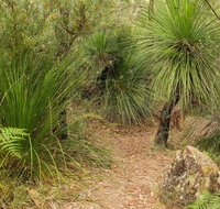 Grass Tree Circuit - St Kilda Accommodation