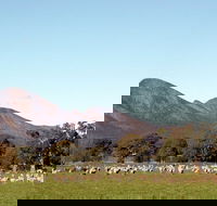 Grampians - St Kilda Accommodation