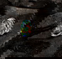 Matthew Ely - St Kilda Accommodation