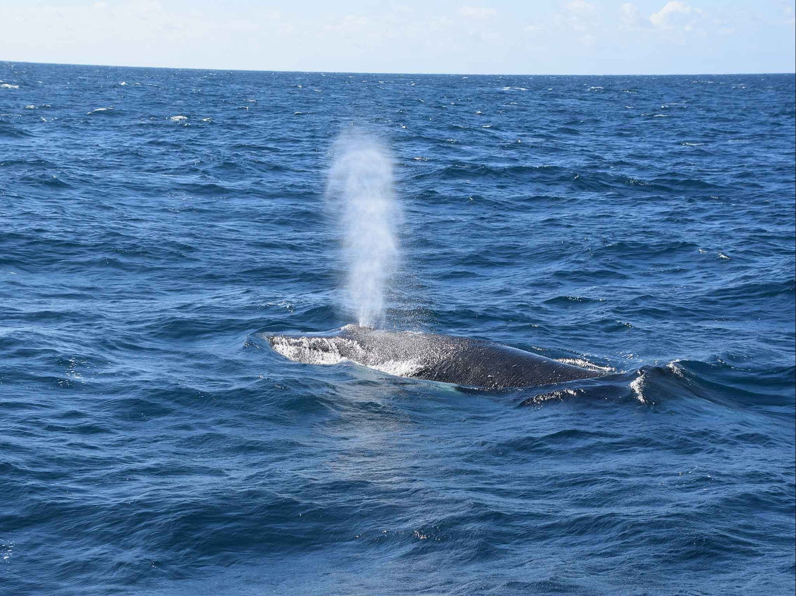 Minyama QLD St Kilda Accommodation