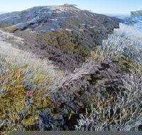 Mt Buller Bike Park - St Kilda Accommodation