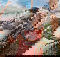 Oakvale Wildlife Park - St Kilda Accommodation