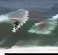 Old Bar - St Kilda Accommodation