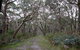 Pink Line And Loop Trail - Mountain Biking - thumb 0