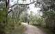 Pink Line And Loop Trail - Mountain Biking - thumb 1
