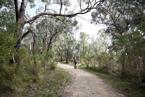 Pink Line And Loop Trail - Mountain Biking - St Kilda Accommodation 1
