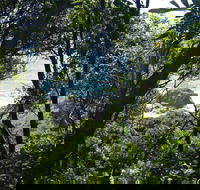 Rainforest Walking Track Hat Head National Park - St Kilda Accommodation