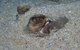 Shelving Beach Dive Site - thumb 1