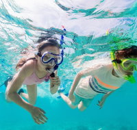 Snorkel Hat Head Creek - St Kilda Accommodation