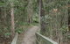 Springwood Conservation Park - thumb 0