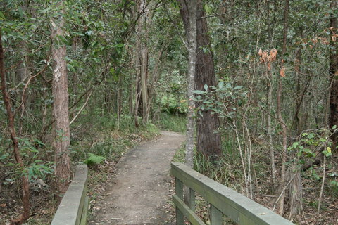 Springwood Conservation Park - St Kilda Accommodation 0