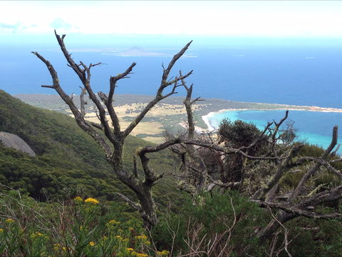 Strzelecki Peaks Great Short Walk - St Kilda Accommodation 0