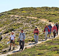 The Sole Walk at Hillocks Drive - St Kilda Accommodation