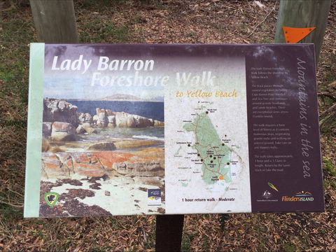 The Lady Barron Foreshore Walk - St Kilda Accommodation 0