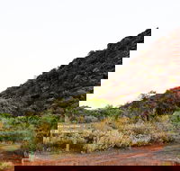 Whyalla Conservation Park - St Kilda Accommodation