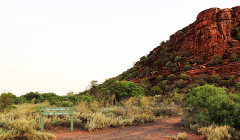 Whyalla Conservation Park - St Kilda Accommodation 0