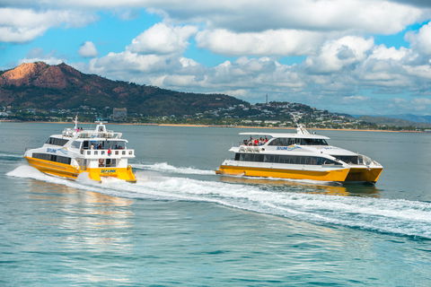 Apex Camps Magnetic Island Group Accommodation, Activities And Events - St Kilda Accommodation 0