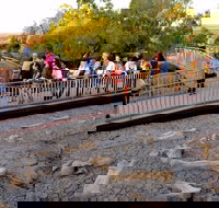 Australian Age of Dinosaurs - St Kilda Accommodation