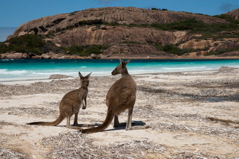 Cape Le Grand National Park - St Kilda Accommodation 0