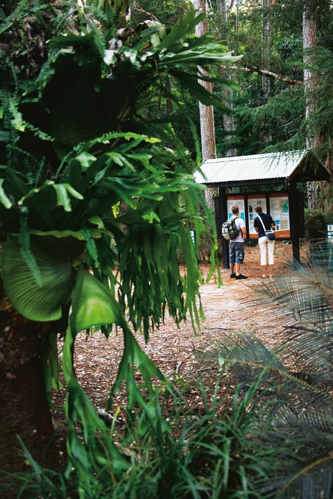 Central Station - St Kilda Accommodation 1