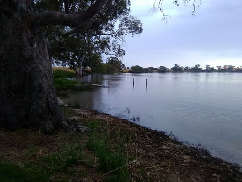 Cockatoo Lake Recreation Reserve - St Kilda Accommodation 1