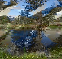 Cooleman Ridge - St Kilda Accommodation