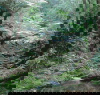 Corn Trail - St Kilda Accommodation