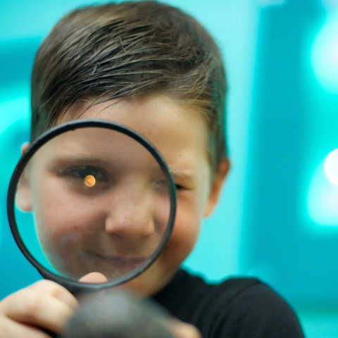 CSIRO Discovery Centre - St Kilda Accommodation 0