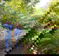 Endeavour Fern Gully Walks - St Kilda Accommodation