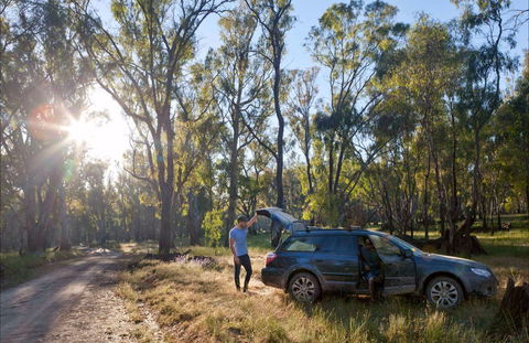 Forest Drive, Murrumbidgee Valley National Park - St Kilda Accommodation 0