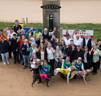 Geelong Greyhound Racing Club - The Beckley Centre - St Kilda Accommodation