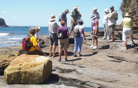 Gondwana Coast Fossil Walk - St Kilda Accommodation 0