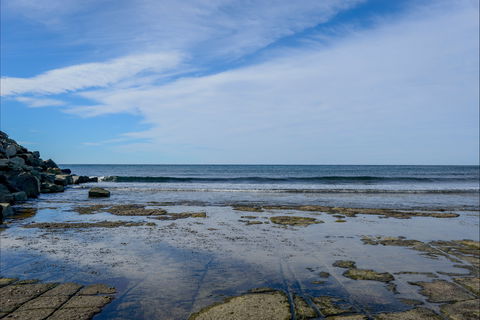Gondwana Coast Fossil Walk - St Kilda Accommodation 1