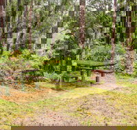 Goodenia Rainforest picnic area - St Kilda Accommodation