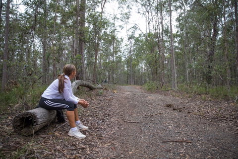 Ironbark Ridge And Spotted Gum Walking Trails - St Kilda Accommodation 1