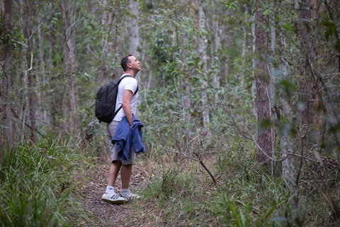 Ironbark Ridge And Spotted Gum Walking Trails - St Kilda Accommodation 2