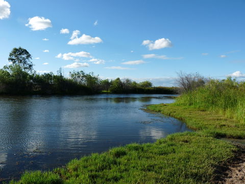 Lagoon Creek - St Kilda Accommodation 2