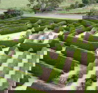 Mintaro Maze - St Kilda Accommodation