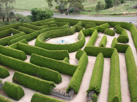 Mintaro Maze - St Kilda Accommodation 0
