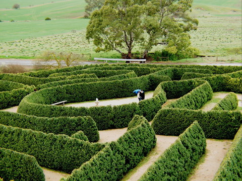 Mintaro Maze - St Kilda Accommodation 1