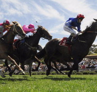 Moruya Racecourse - St Kilda Accommodation