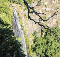 Morans Falls track Lamington National Park - St Kilda Accommodation