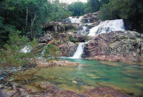 Mount Spec, Paluma Range National Park - St Kilda Accommodation 1