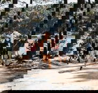 Myponga Reservoir Trail - St Kilda Accommodation