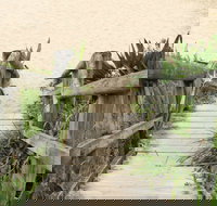 Pebbly Beach to Snake Bay walking track