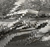 Pioneer Park - St Kilda Accommodation