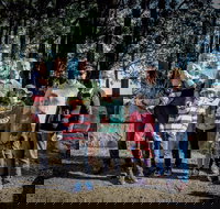 State Forests of the Watagan Mountains - St Kilda Accommodation