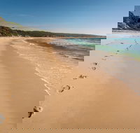 Terrace Beach and Lennards Island - St Kilda Accommodation