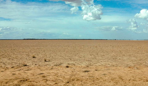 Toorale National Park - St Kilda Accommodation 0